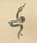 http://www.tamriel.ru/birth/Birth_serpent.gif